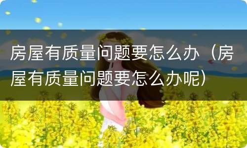 房屋有质量问题要怎么办（房屋有质量问题要怎么办呢）