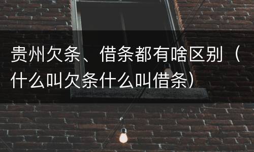 贵州欠条、借条都有啥区别（什么叫欠条什么叫借条）