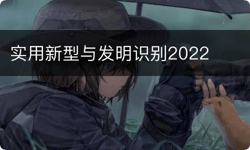 实用新型与发明识别2022