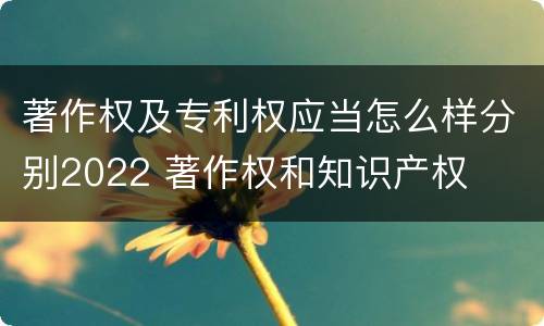 著作权及专利权应当怎么样分别2022 著作权和知识产权
