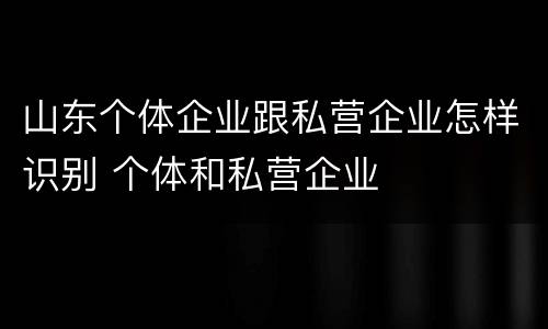 山东个体企业跟私营企业怎样识别 个体和私营企业