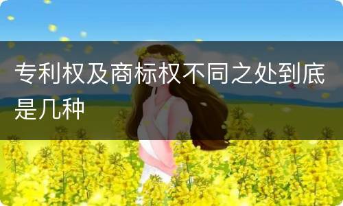 专利权及商标权不同之处到底是几种