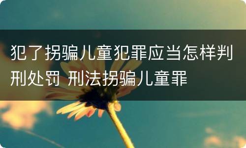 犯了拐骗儿童犯罪应当怎样判刑处罚 刑法拐骗儿童罪