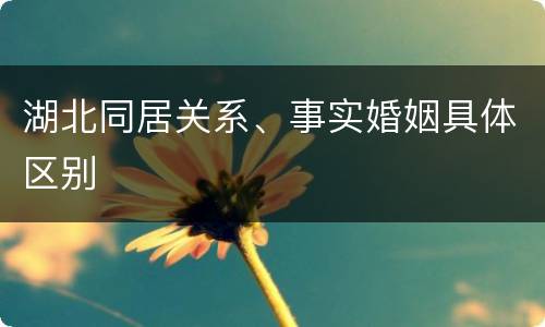 湖北同居关系、事实婚姻具体区别