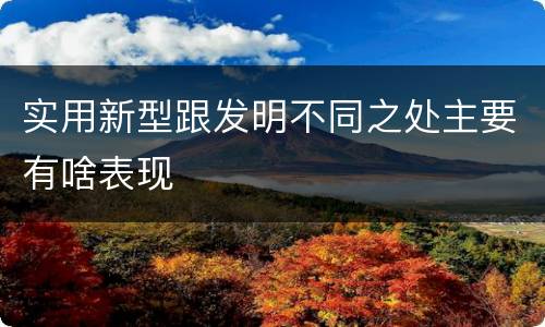 实用新型跟发明不同之处主要有啥表现
