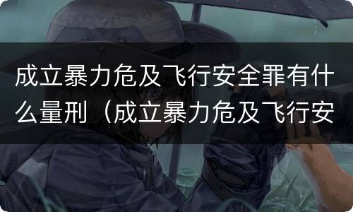 成立暴力危及飞行安全罪有什么量刑（成立暴力危及飞行安全罪有什么量刑要求）