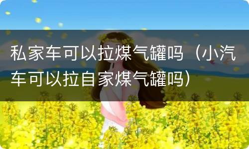 私家车可以拉煤气罐吗（小汽车可以拉自家煤气罐吗）