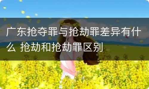 广东抢夺罪与抢劫罪差异有什么 抢劫和抢劫罪区别