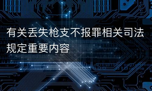 有关丢失枪支不报罪相关司法规定重要内容