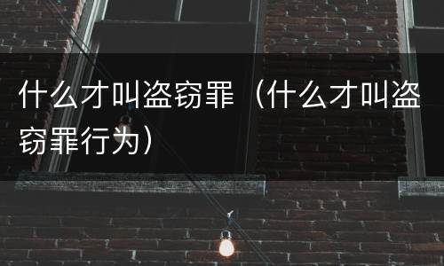 什么才叫盗窃罪（什么才叫盗窃罪行为）