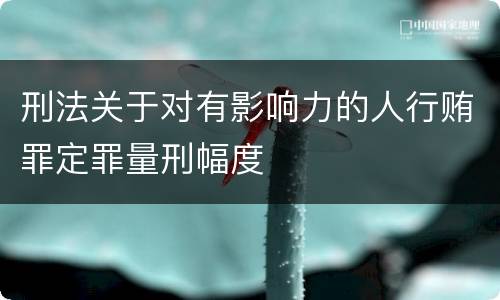刑法关于对有影响力的人行贿罪定罪量刑幅度