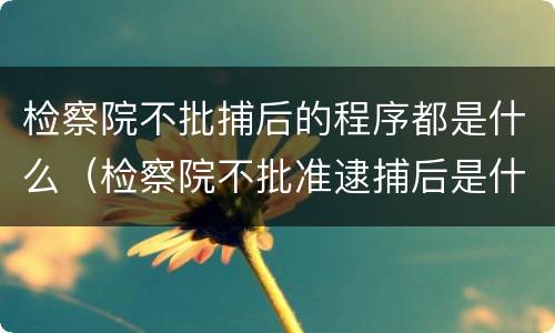 检察院不批捕后的程序都是什么（检察院不批准逮捕后是什么程序）
