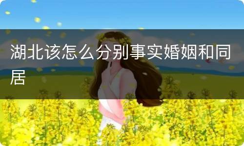 湖北该怎么分别事实婚姻和同居