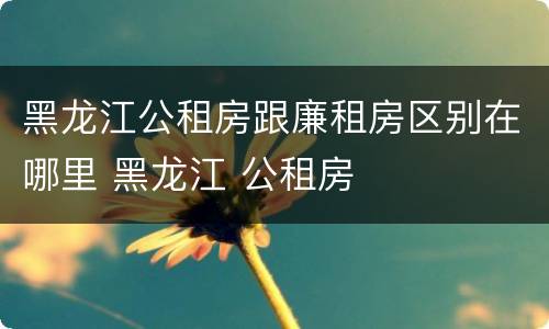 黑龙江公租房跟廉租房区别在哪里 黑龙江 公租房