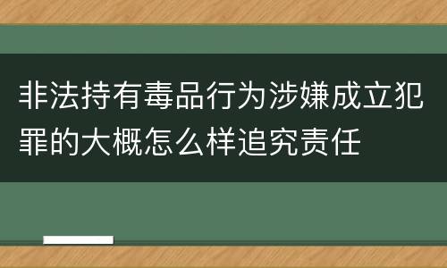 非法持有毒品行为涉嫌成立犯罪的大概怎么样追究责任