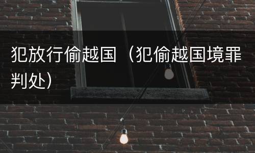 犯放行偷越国（犯偷越国境罪判处）