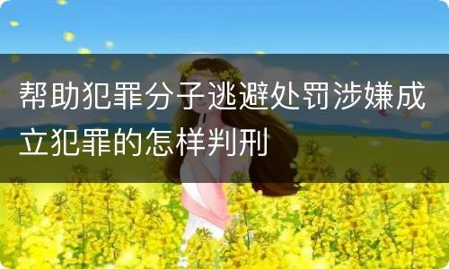 帮助犯罪分子逃避处罚涉嫌成立犯罪的怎样判刑