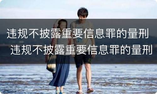 违规不披露重要信息罪的量刑 违规不披露重要信息罪的量刑依据
