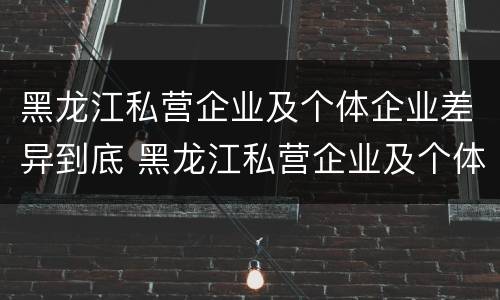 黑龙江私营企业及个体企业差异到底 黑龙江私营企业及个体企业差异到底有多大