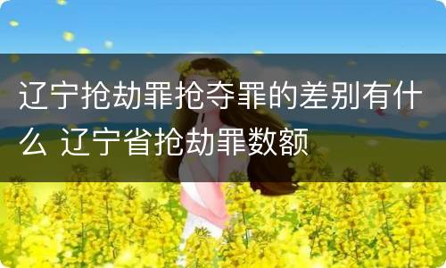 辽宁抢劫罪抢夺罪的差别有什么 辽宁省抢劫罪数额