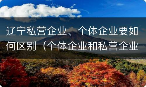 辽宁私营企业、个体企业要如何区别（个体企业和私营企业的区别）