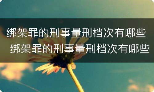 绑架罪的刑事量刑档次有哪些 绑架罪的刑事量刑档次有哪些规定