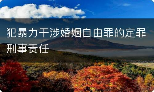 犯暴力干涉婚姻自由罪的定罪刑事责任