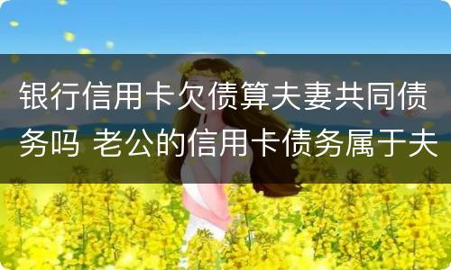 银行信用卡欠债算夫妻共同债务吗 老公的信用卡债务属于夫妻共同债务吗