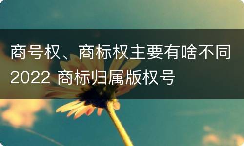 商号权、商标权主要有啥不同2022 商标归属版权号