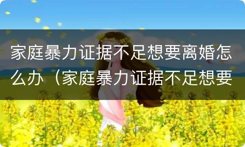 家庭暴力证据不足想要离婚怎么办（家庭暴力证据不足想要离婚怎么办呢）