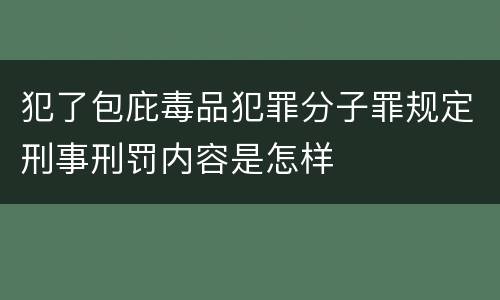 犯了包庇毒品犯罪分子罪规定刑事刑罚内容是怎样