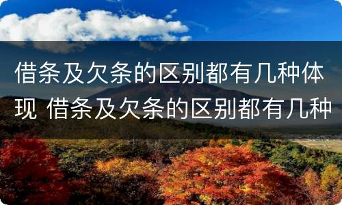 借条及欠条的区别都有几种体现 借条及欠条的区别都有几种体现方式