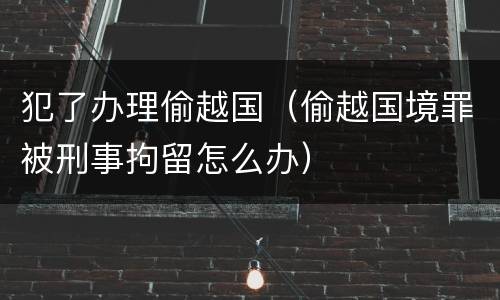 犯了办理偷越国（偷越国境罪被刑事拘留怎么办）
