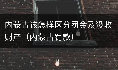 内蒙古该怎样区分罚金及没收财产（内蒙古罚款）