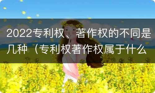 2022专利权、著作权的不同是几种（专利权著作权属于什么资产）