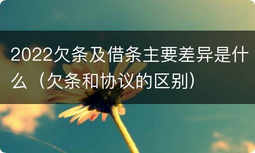 2022欠条及借条主要差异是什么（欠条和协议的区别）