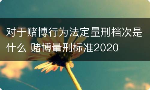 对于赌博行为法定量刑档次是什么 赌博量刑标准2020