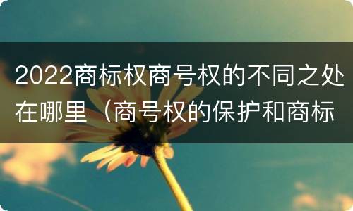 2022商标权商号权的不同之处在哪里（商号权的保护和商标权的保护一样是全国性范围的）
