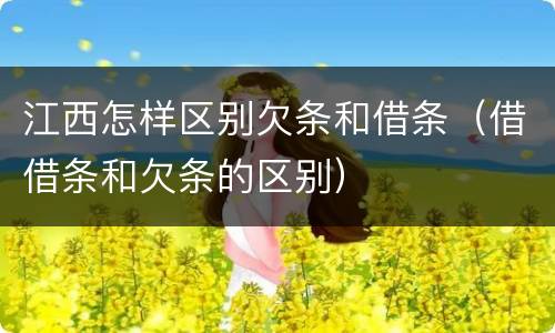 江西怎样区别欠条和借条（借借条和欠条的区别）