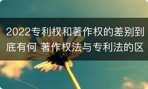 2022专利权和著作权的差别到底有何 著作权法与专利法的区别