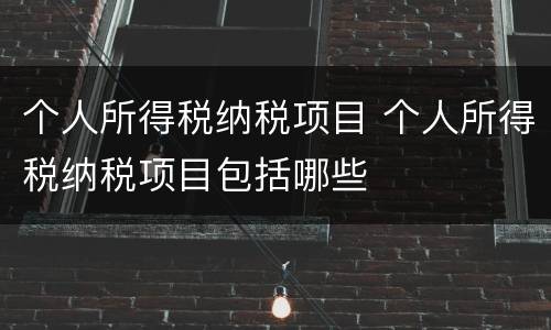 个人所得税纳税项目 个人所得税纳税项目包括哪些