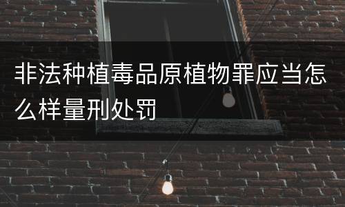 非法种植毒品原植物罪应当怎么样量刑处罚