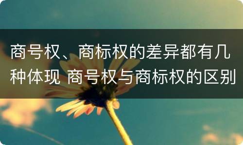 商号权、商标权的差异都有几种体现 商号权与商标权的区别