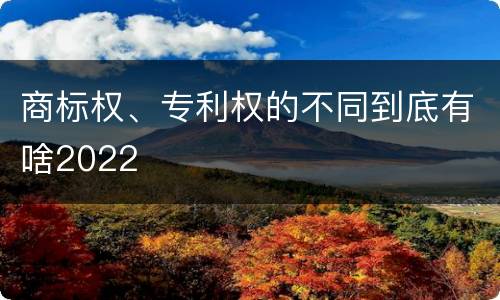 商标权、专利权的不同到底有啥2022