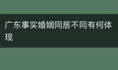 广东事实婚姻同居不同有何体现