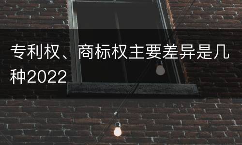 专利权、商标权主要差异是几种2022