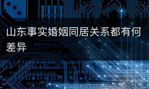 山东事实婚姻同居关系都有何差异