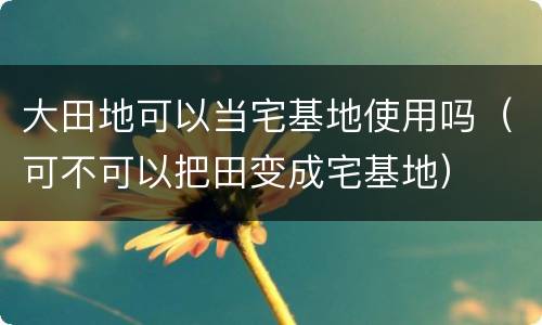 大田地可以当宅基地使用吗（可不可以把田变成宅基地）