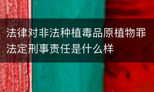 法律对非法种植毒品原植物罪法定刑事责任是什么样