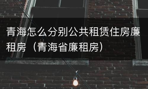 青海怎么分别公共租赁住房廉租房（青海省廉租房）